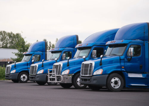 Fleet of blue big rig semi trucks parked in a line